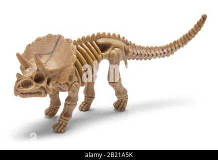 Toy Dino Skeleton Isoliert auf weißem Hintergrund. Stockfoto