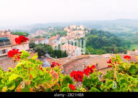 Chiusi Scalo beherbergt in der Toskana, in der Stadt Italiens Stadtbild und rote Geranienblüten im Garten im Vordergrund auf der Terrasse mit Blick auf die Landschaft Stockfoto