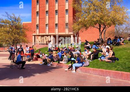 Studenten, die außerhalb der Nähe des Graduiertengebäudes auf dem Campus der University of Arizona in Tucson Unterricht nehmen Stockfoto