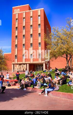 Studenten, die außerhalb der Nähe des Graduiertengebäudes auf dem Campus der University of Arizona in Tucson Unterricht nehmen Stockfoto