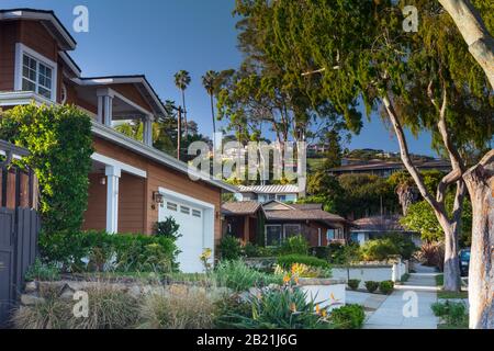 Wunderschönes Haus in Kalifornien mit einem individuell gestalteten Garten und einem Yard mit einer Vielzahl von Pflanzen. Im Februar 2020 aus einem öffentlichen Raum übernommen. Stockfoto