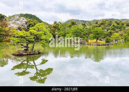 See im Tempel- oder Schreingarten mit Insel- und Bonsai-Baum und Moos in Kyoto, Japan im Frühjahr an bewölktem Tag mit Rückblick auf die Landschaft Stockfoto