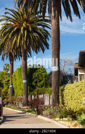 California Home Landscaping Beispiel mit Holzzaun und abwechslungsreichen Pflanzen für Dürre tolerante Bedingungen. Im Februar 2020 aus einem öffentlichen Raum übernommen. Stockfoto