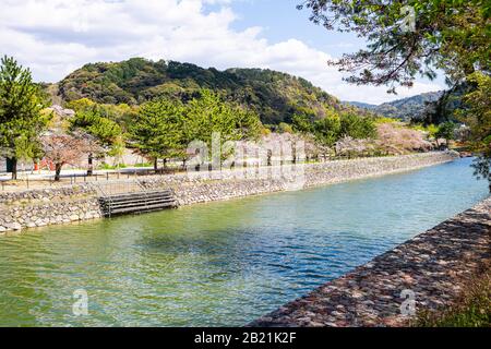 Traditionelles Dorf mit vielen Kirschblütenbäumen entlang des Flusses am sonnigen Tag im Frühling in Uji, Japan Stockfoto