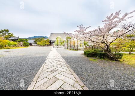 Kyoto, Japan - 12. April 2019: Seiryoji-Tempel-Zen-Felseneingang in Arashiyama mit Innenhof und Steinpfad mit Kirschblütenbaum im Frühjahr Stockfoto
