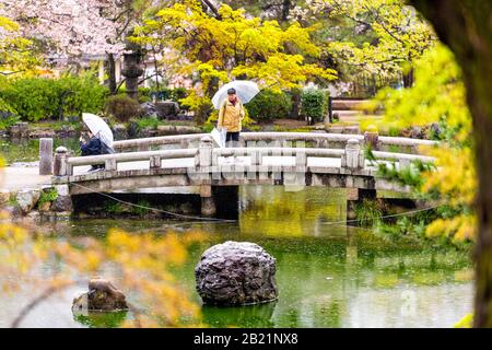 Kyoto, Japan - 9. April 2019: Gion Viertel mit Kirschblüten im Maruyama Park See Teich mit Menschen auf Brücke bei Regen im Frühjahr mit Stockfoto