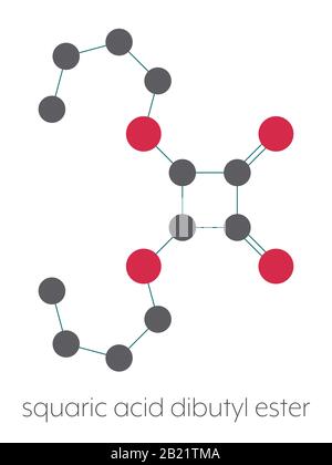 Squarinsäure Dibutylester Drug Molecule, Abbildung Stockfoto