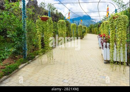 Gasse mit Kletterpflanzen. Gepflasterter Pfad mit Blick auf die Berge. Nordvietnamesen Stockfoto