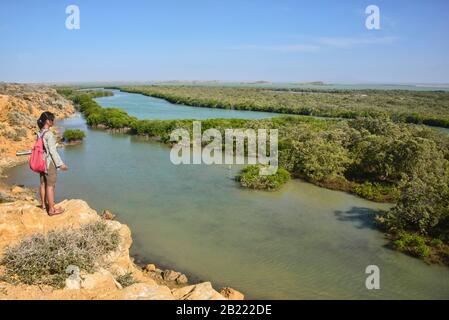 Die Wüste, die Mangrovensümpfe und die Karibik, Punta Gallinas, die Nordspitze Südamerikas, Guajira, Kolumbien Stockfoto