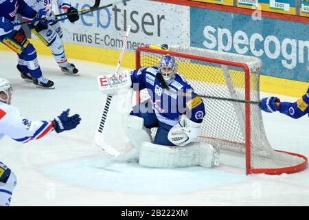 Kloten, Schweiz. Februar 2020. Kloten Swiss Arena, EHC Kloten vs. GCK Lions, 1/4Endspiel 5/7, Torwart Dominic Nyffeler (KLO) starrt auf den fliegenden Puck. EHC Kloten vs. GCK Lions 3-2. EHC Kloten schlug GCK Lions in Spiel 5 (von 7) und erzielte den 4. Sieg. Kloten gehen bei einem 1/4 Endspiel-Finale um den Aufstieg in NLA 2020-21. Das Spiel wurde aufgrund der staatlichen Veranlagung bezüglich der Sicherheitsaktionen des Corona-Virus (Foto von Sergio Brunetti/Pacific Press) ohne öffentliche Hand ausgetragen Credit: Pacific Press Agency/Alamy Live News Stockfoto