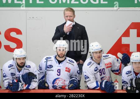 Kloten, Schweiz. Februar 2020. Kloten Swiss Arena, EHC Kloten vs GCK Lions, 1/4 Endspiel 5/7, Cheftrainer Michael Liniger (GCK). EHC Kloten vs. GCK Lions 3-2. EHC Kloten schlug GCK Lions in Spiel 5 (von 7) und erzielte den 4. Sieg. Kloten gehen bei einem 1/4 Endspiel-Finale um den Aufstieg in NLA 2020-21. Das Spiel wurde aufgrund der staatlichen Veranlagung bezüglich der Sicherheitsaktionen des Corona-Virus (Foto von Sergio Brunetti/Pacific Press) ohne öffentliche Hand ausgetragen Credit: Pacific Press Agency/Alamy Live News Stockfoto