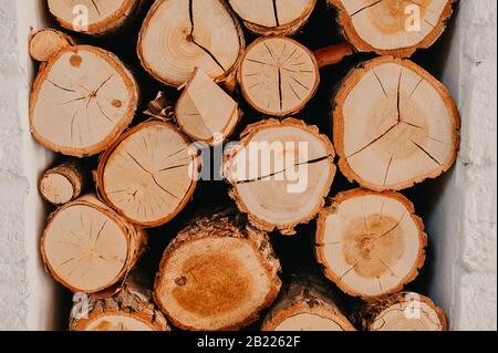 Geropfter Baum, viele Brennholz übereinander gestapelt in Innenräumen Stockfoto