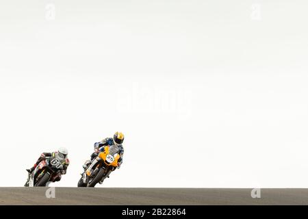 Melbourne, Australien, 29. Februar 2020. William Adams CAT-Fahrer Daniel Falzon (25) während der Motul FIM Superbike-Weltmeisterschaft, Phillip Island Circuit, Australien. Credit: Dave Hewison/Alamy Live News Stockfoto