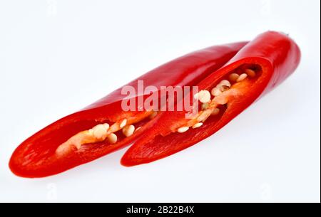 Rote Chilischote, Studienaufnahme Stockfoto