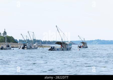Fischerboote im Meer an der Union Bay, Vancouver Island, British Columbia, Kanada. Stockfoto