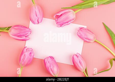 Ansicht von oben Tulpen und leer Papier mit Kopierbereich. Hintergrund für Damen Day, 8. März Valentinstag, 14. februar. Flacher Laienstil, Draufsicht Stockfoto