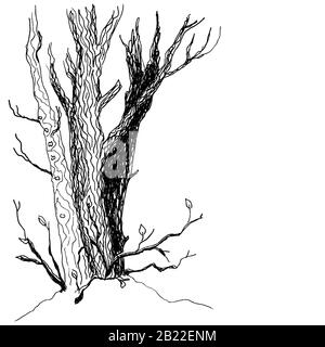 Bäume Gezeichnet: Die Magie des Ausmalens – Kostenlose Ausmalbilder für Groß und Klein