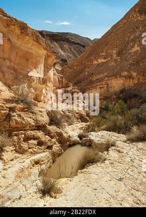 Natürliche saisonale Regenwasserkache im Kalkgestein des trockenen zerklüfteten Karkas-Bachschluchts in der Wüste Zin bei Sde Boker in Israel Stockfoto