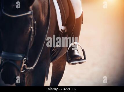 Der Fuß eines im Sattel sitzenden Reiters auf einem schwarzen Pferd, in einem schwarzen Stiefel, ruht auf einem Bügel, der durch Sonnenlicht beleuchtet wird. Stockfoto