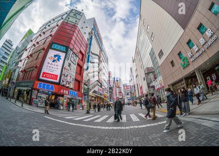 Tokio, JAPAN - FEBRUAR 2019: Fußgänger drängen undefinierte Menschen, die am 13. Februar 2019 in T über die Straßenkreuzung in Akihabara gehen Stockfoto