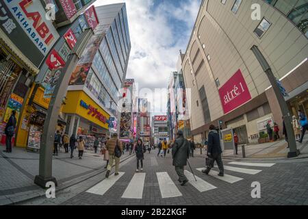 Tokio, JAPAN - FEBRUAR 2019: Fußgänger drängen undefinierte Menschen, die am 13. Februar 2019 in T über die Straßenkreuzung in Akihabara gehen Stockfoto