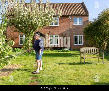 Frau Bewässerungsgarten mit Schlauchleitung vor rotem Backstein historischen Einfamilienhaus, Shottisham, Suffolk, England, UK - Modell freigegeben Stockfoto