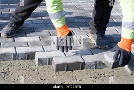 Der Meister in Handschuhen legt Pflastersteine in Schichten. Pflasterung von Gartenbausteinen durch professionelle Gehfertiger. Verlegung von grauen Betonpflastersteinen auf Sand Stockfoto