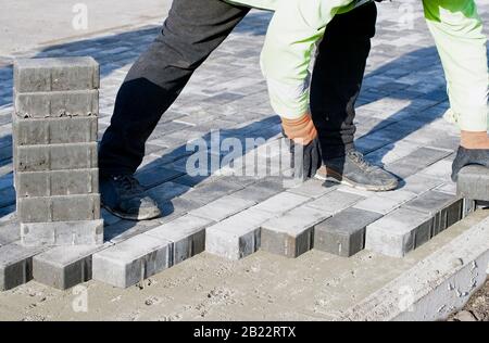 Der Meister in Handschuhen legt Pflastersteine in Schichten. Pflasterung von Gartenbausteinen durch professionelle Gehfertiger. Verlegung von grauen Betonpflastersteinen auf Sand Stockfoto