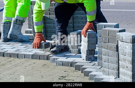 Der Meister in Handschuhen legt Pflastersteine in Schichten. Pflasterung von Gartenbausteinen durch professionelle Gehfertiger. Verlegung von grauen Betonpflastersteinen auf Sand Stockfoto