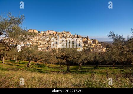 Loreto Aprutino, eine mittelalterliche Stadt im Olivetrees Tal von Pescara (Italien) Stockfoto