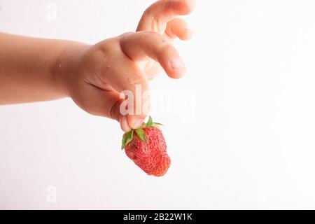 Der Junge hält Erdbeeren in den Finger, die Hände der Kinder und den Platz für Text Stockfoto