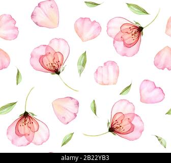 Aquarell, nahtloses Blumenmuster. Transparente Rosen und fliegende Kronblätter. Isolierte, handgezeichnete Illustration mit bunten Blumen für Tapetendesign Stockfoto