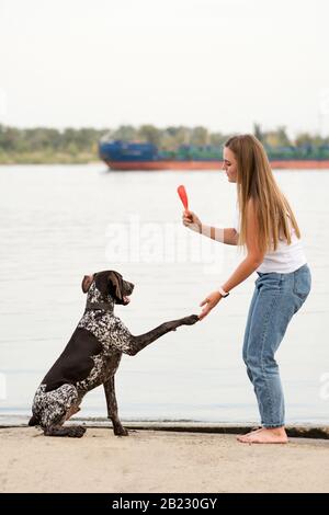 Attraktives Mädchen, das den Hund spazieren geht. Spaß beim Spielen im Freien. Schöne Frau, die einen deutschen Kurzzeigezeiger am Flussufer trainiert. Verspielte Stimmung. Freundschaftskonzepte, Haustiere, miteinander Stockfoto