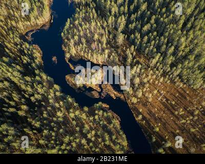 Luftaufnahme des Flusses in der Landschaft des Boggy Forest Stockfoto