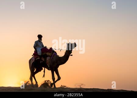 Silhouette einen Mann auf einem Kamel, Wüste Thar, Rajasthan, Indien Stockfoto