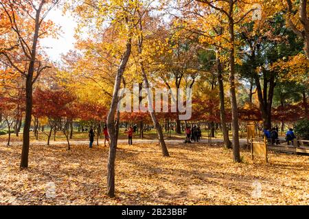 Tianping Shan (Berg Tianping) im Herbst/Herbst in Suzhou, Provinz Jiangsu, China. Stockfoto