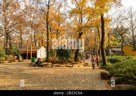 Tianping Shan (Berg Tianping) im Herbst/Herbst in Suzhou, Provinz Jiangsu, China. Stockfoto