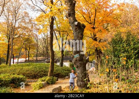 Tianping Shan (Berg Tianping) im Herbst/Herbst in Suzhou, Provinz Jiangsu, China. Stockfoto