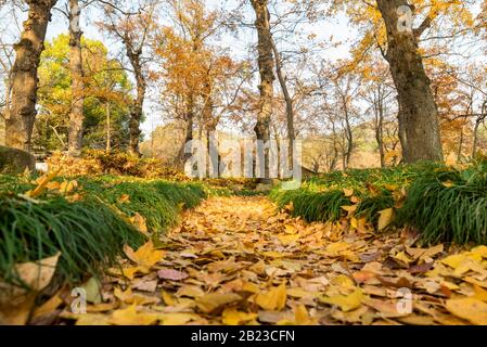 Tianping Shan (Berg Tianping) im Herbst/Herbst in Suzhou, Provinz Jiangsu, China. Stockfoto