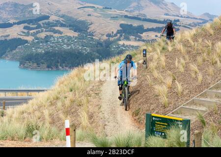 Radfahrer auf Greenwood Track im Tauhinukorokio Scenic Reserve an der Top of Summits Road, Sumner, Christchurch, Canterbury, Neuseeland Stockfoto