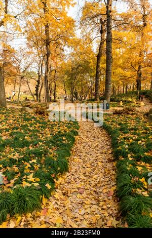 Tianping Shan (Berg Tianping) im Herbst/Herbst in Suzhou, Provinz Jiangsu, China. Stockfoto