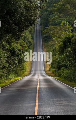 Zentrierte Straße, die symmetrisch durch ein Tal im thailändischen Dschungel in der Region Khao Yai führt Stockfoto