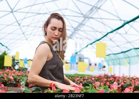 Junge Frau in einem Kleid berührt liebevoll Blumen in einem Gewächshaus Stockfoto