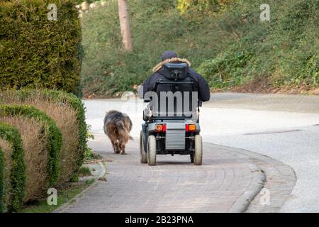 Ein alter Mann fährt einen elektrischen Rollstuhl und wird von seinem treuen Hund begleitet Stockfoto