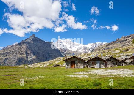 Valmalenco (IT) - Alpe Prabello mit Bernina im Hintergrund Stockfoto