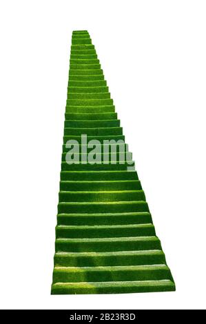 Grüne Treppe zum Himmel, Landschaft, Fotozone am Strand, inmitten einer Umweltkatastrophe auf Phu Quoc in Vietnam. Stockfoto