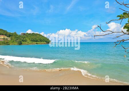 Bezauberndes, einladendes Wasser aus Aquamarin, das den blauen Himmel am Vigie Beach an einem sonnigen Tag reflektiert, das von einem touristischen Badebad mit grünem Hintergrund genossen wird Stockfoto