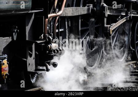 Die Dampflok Nr. 75029 ist "The Green Knight" am Bahnhof Grosmont, Teil der NYMR (North Yorkshire Moors Railway) in North Yorkshire, B Stockfoto