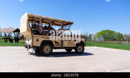 Hortobagy Ungarn 04 20 2019 Besucher nehmen einen Geländewagen, um Tiere im Hortobágy Nationalpark zu beobachten. Stockfoto