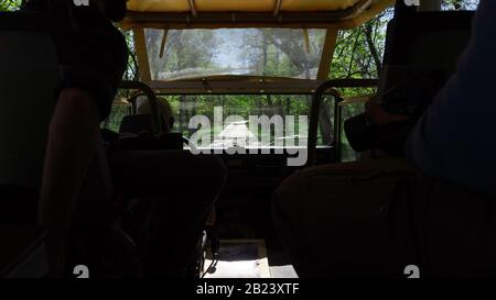 Junge Fotografen fahren ein Geländewagen in einem Wald Stockfoto